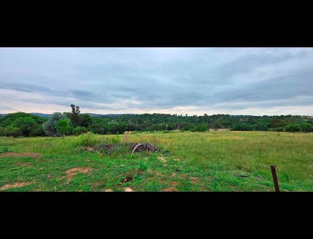 FARM FOR SALE IN ZONNEHOEWE